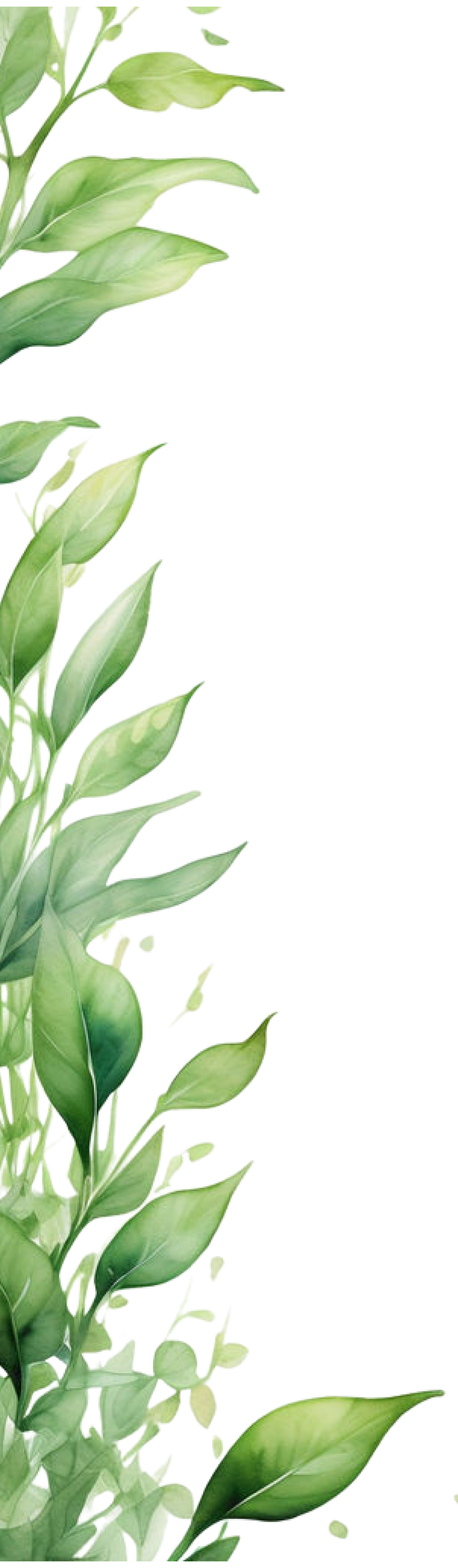 Folhagem decorativa